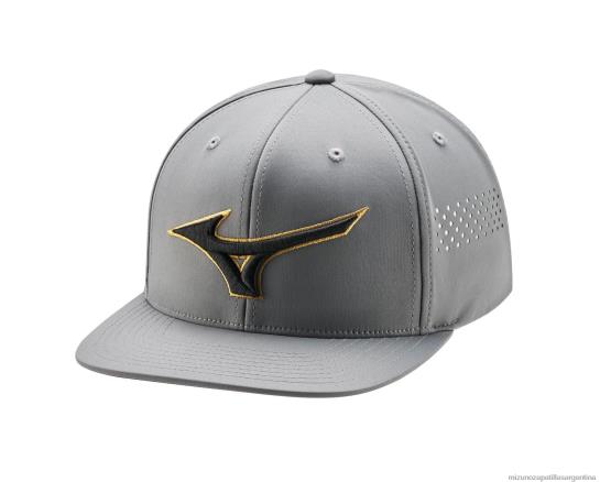 gorra de golf tipo snapback plana unisexo 4H0PZ430 accesorios gris-dorado(9174) Mizuno Argentina