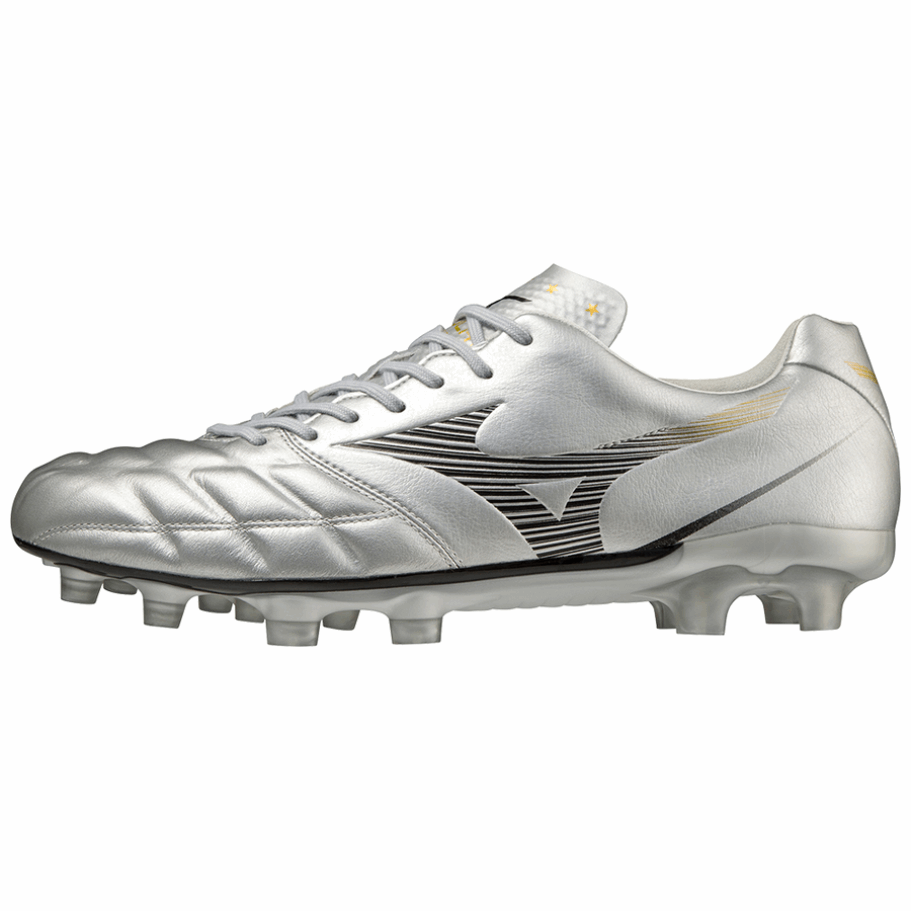 Copa Mizuno Rebula Japón P1ga227009