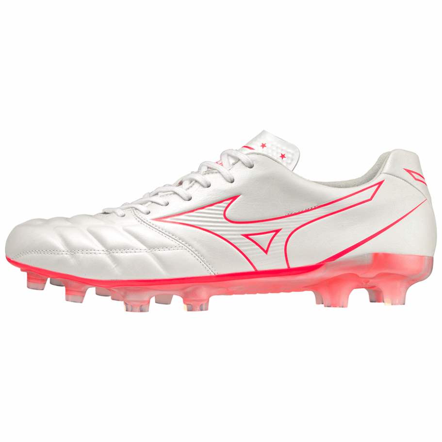 Copa Mizuno Rebula Japón P1ga227064