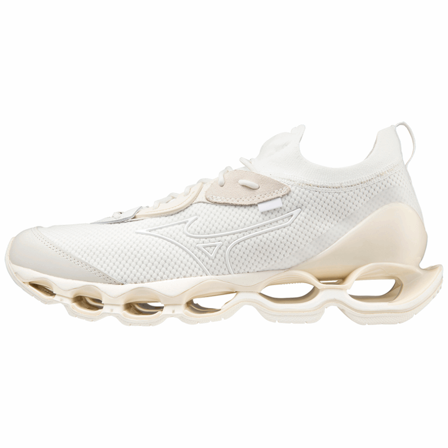 Mizuno Wave Profecy Beta D1ga220201